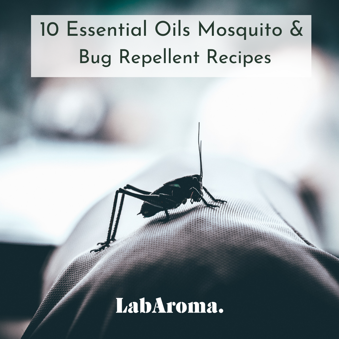 10 Essential Oils Mosquito and Bug Repellent Recipes LabAroma Blog